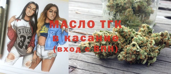 молекула духа Алексеевка
