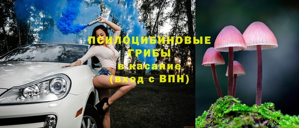 трава Алзамай