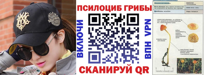 купить наркотик  Ейск  Псилоцибиновые грибы ЛСД 