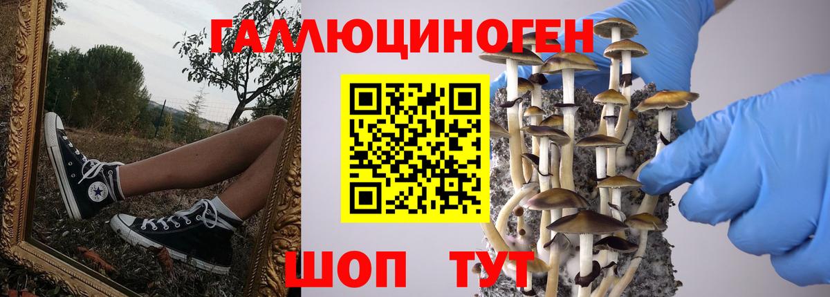 Псилоцибиновые грибы GOLDEN TEACHER Ейск