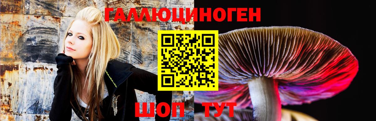 Псилоцибиновые грибы Magic Shrooms  Вход с VPN  Ейск 